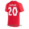 Canada Jonathan David 20 Hjemme VM 2022 - Herre Fotballdrakt
